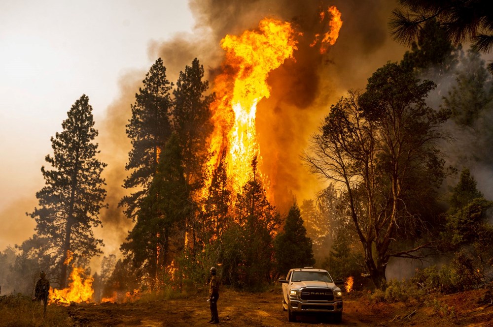 California'da orman yangını: 11 bini aşkın kişi tahliye edildi - 4