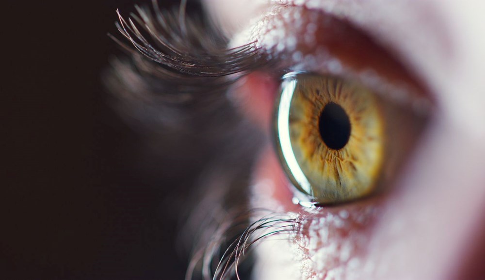 Gözleriniz yaşam sürenizi ele veriyor: Retina yaşlanma ve ölüm riskini ortaya koyuyor - 8