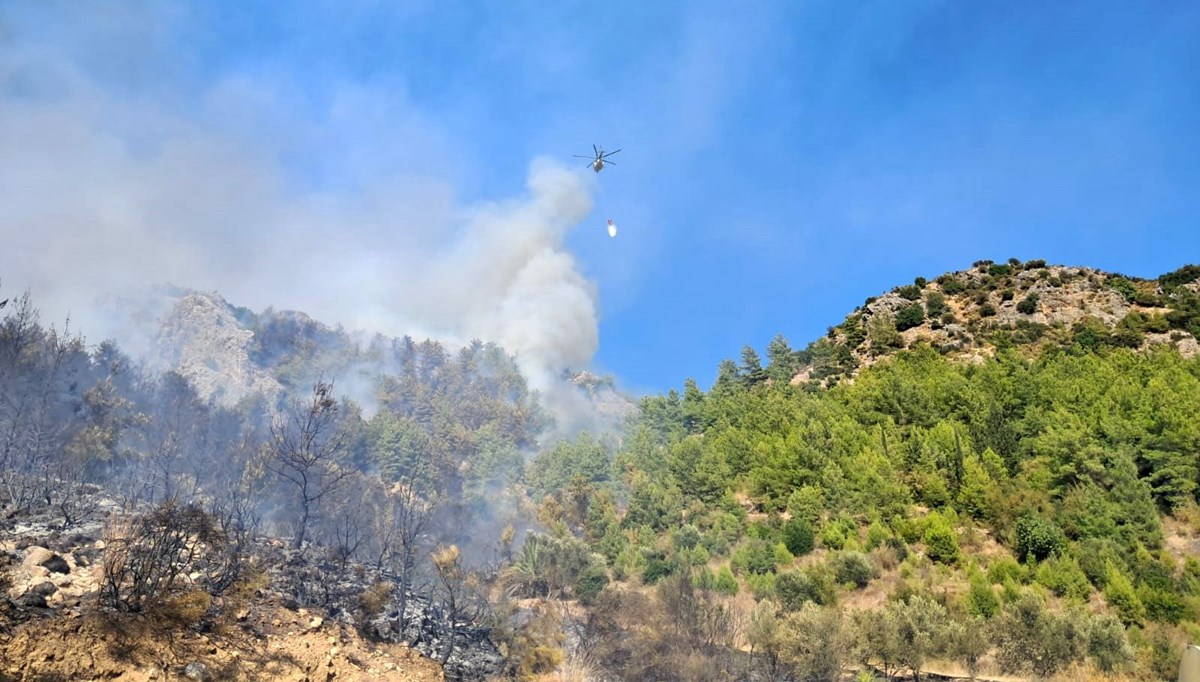 Serik'te orman yangını: Bir kişi gözaltında