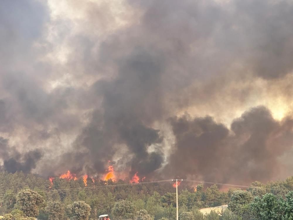 Yangın felaketinde son durum: "Gökyüzü mavi değil, güneşin bile rengi değişti" - 33
