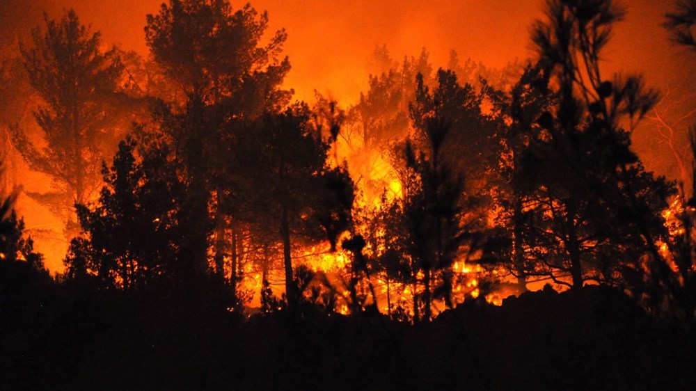 Mersin ve Hatay'da yangın: 5 ilden takviye geldi, kara yolu kapatıldı - 3