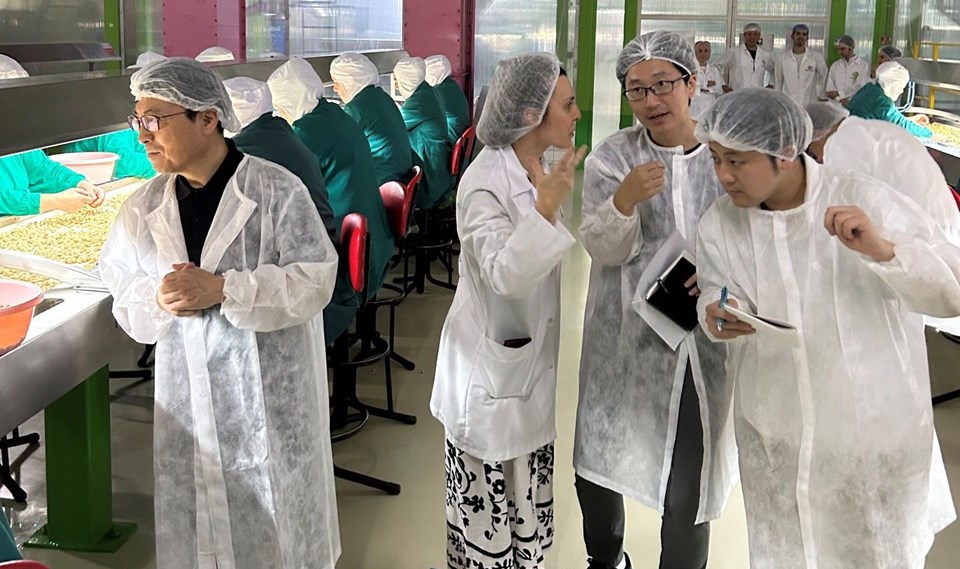 Japon alıcılar KİB organizasyonuyla fındık ihracatçılarıyla buluştu - 1