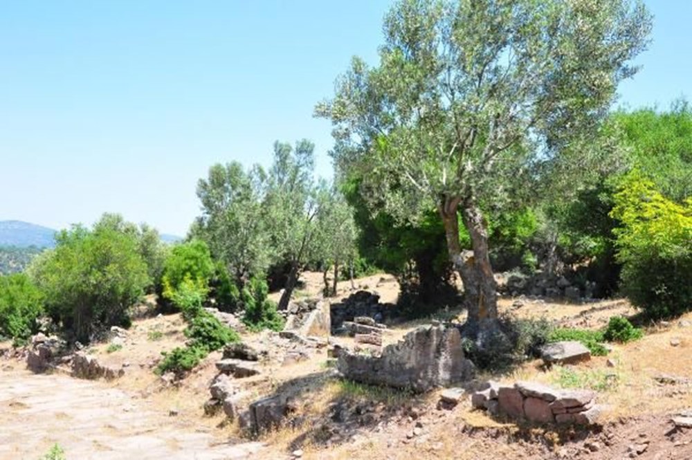 Aigai Antik Kenti'nde 3 bin mezar: Ortalama yaşam 40-45 yıl - 4