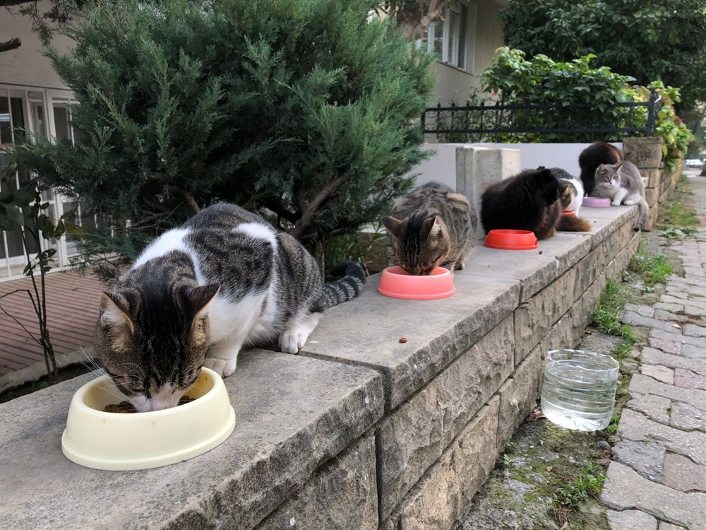 Merak edilen 25 soruya yanıt İçişleri Bakanlığı'ndan tam kapanma güncellemesi