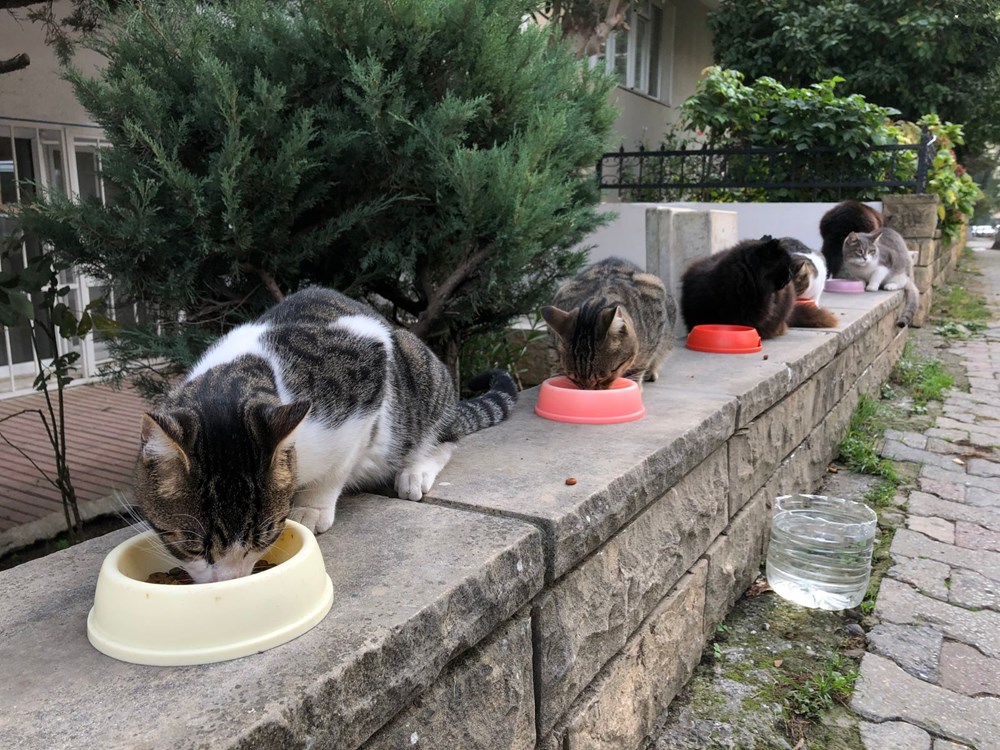 İçişleri Bakanlığı'nda tam kapanma güncellemesi (Merak edilen 24 soruya yanıt) - 18