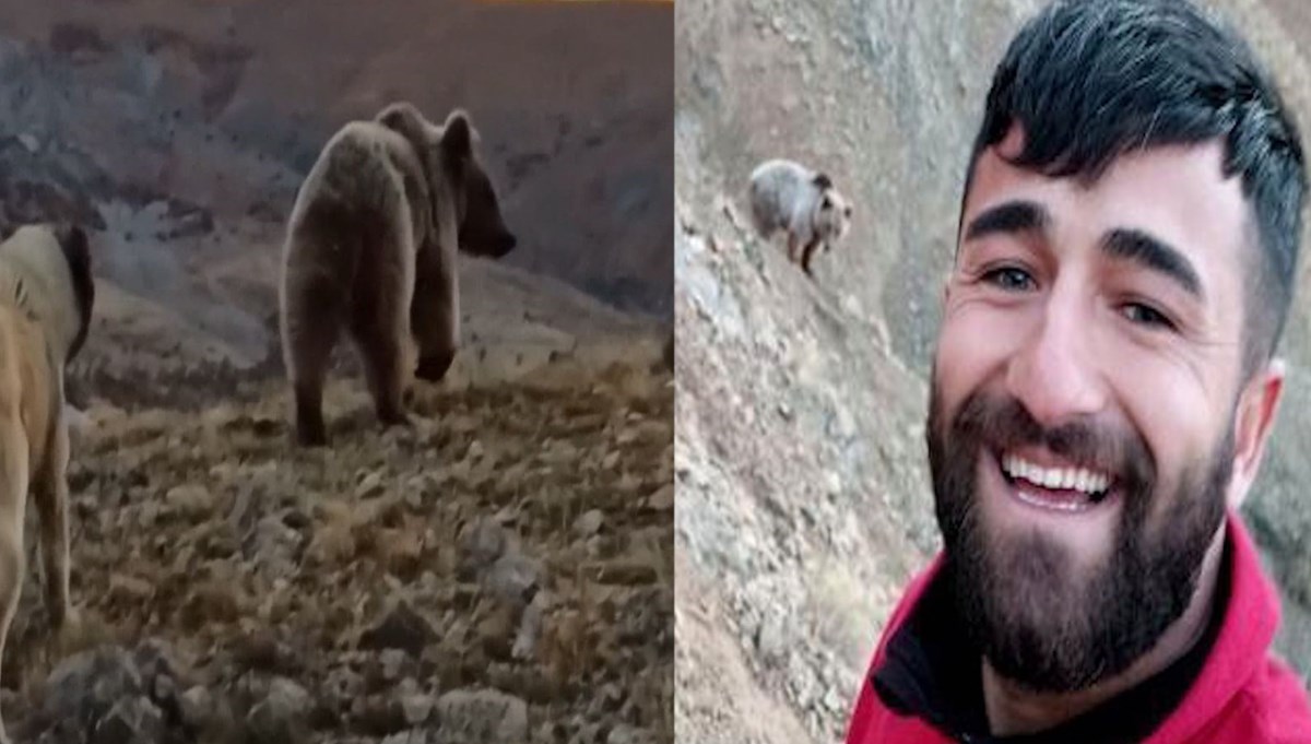Selfie için ayının peşinden koştu Selfie için ayının peşinden koştu