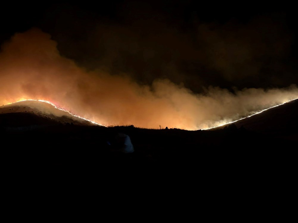 Kocaeli, Karaman, Afyonkarahisar ve Diyarbakır'da orman yangını - 10