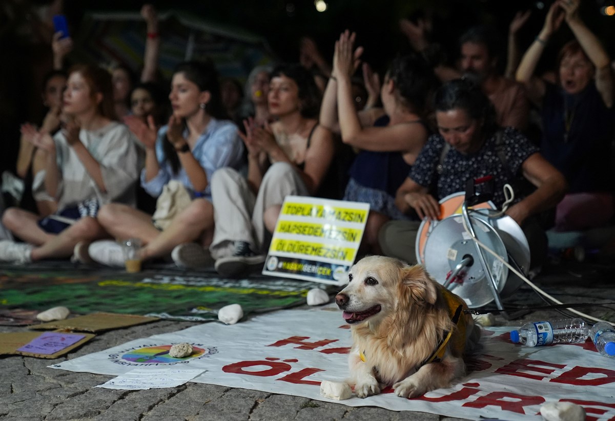 Ankara'da sokak hayvanları yasa teklifi protesto edildi