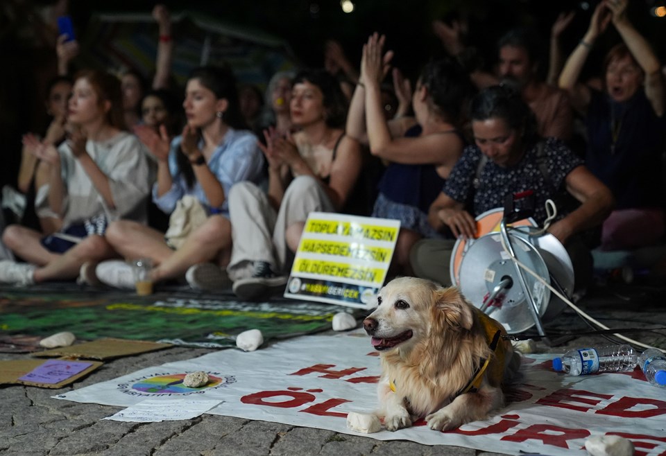 Ankara'da sokak hayvanları yasa teklifi protesto edildi - 1