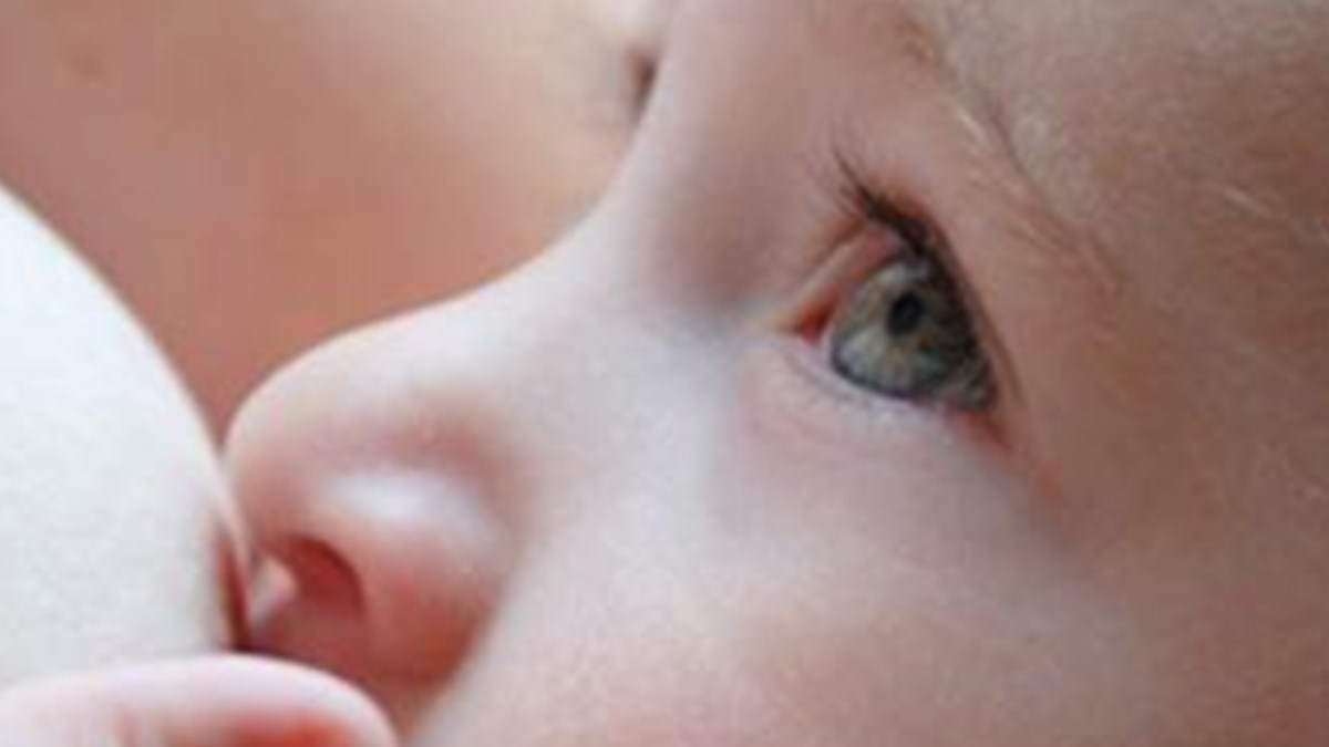 anne sutu enfeksiyondan koruyor