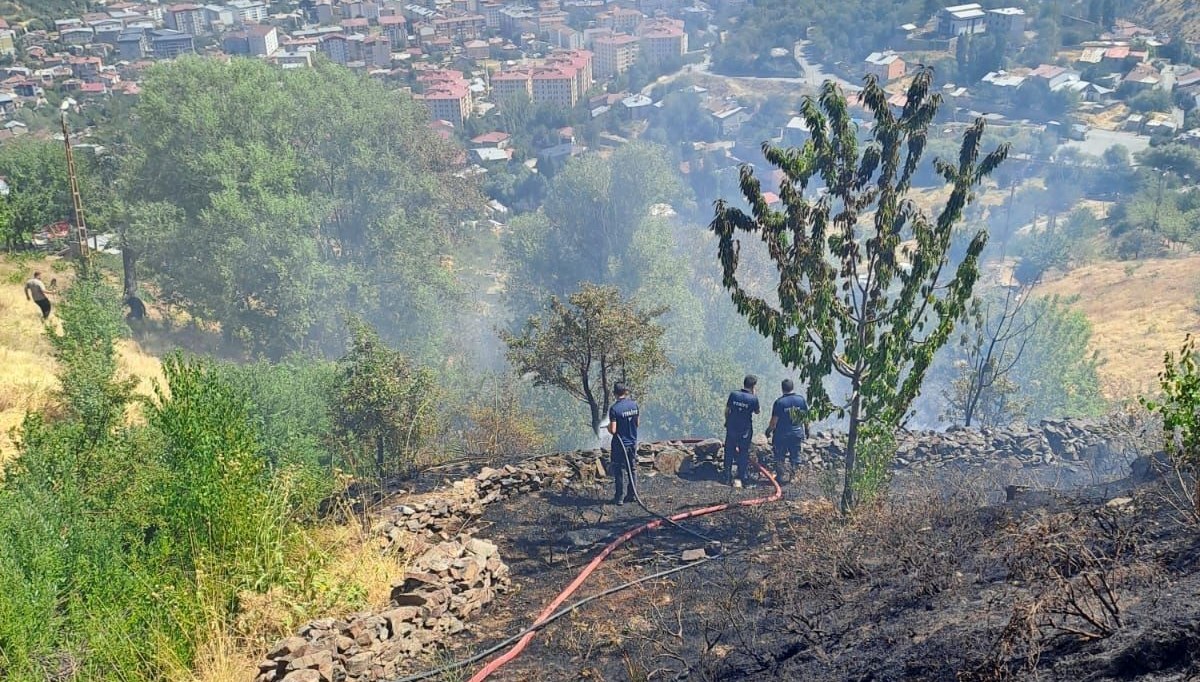 Bağlık alanda çıkan yangın korkuttu