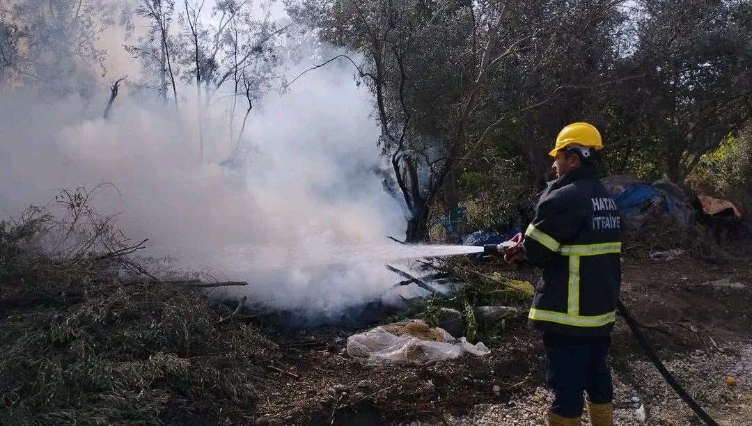 Erzin'de zeytin bahçesinde yangın