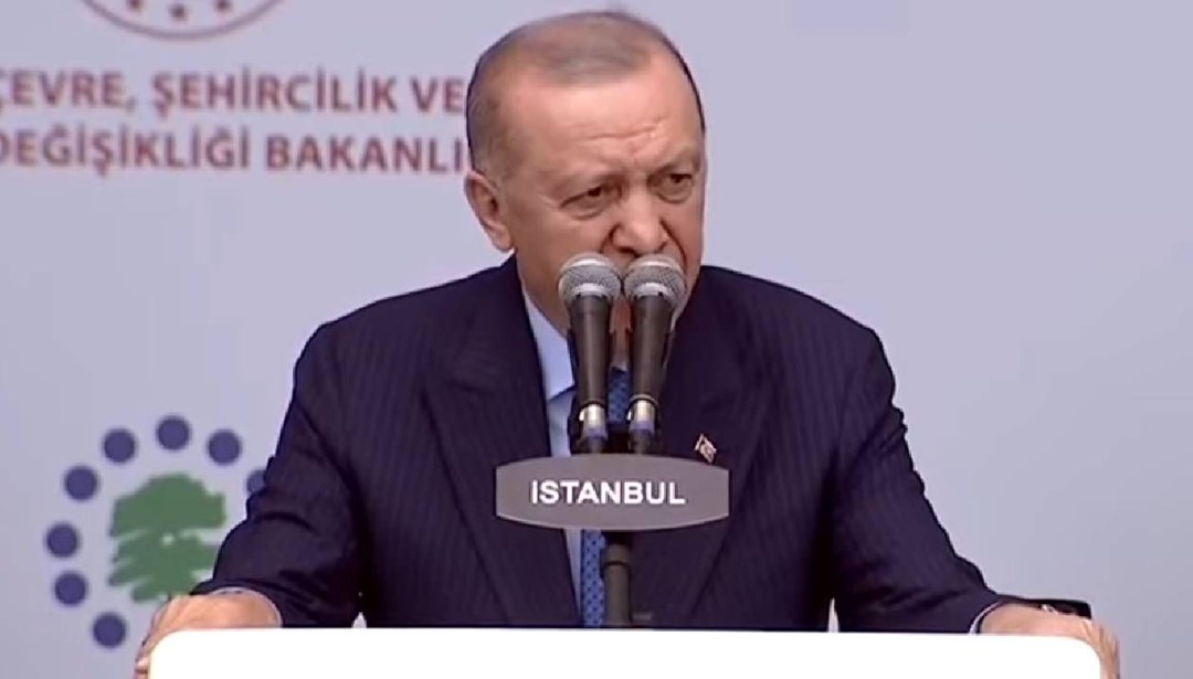 Cumhurbaşkanı Erdoğan: Dayanışmamızı tüm dünyaya gösterdik