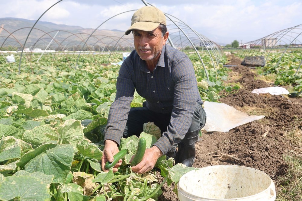 Amik Ovası'nda hasat başladı: Tarlada 15 TL'ye alıcı buluyor 72 Qdc2h9yDdEGgC2lWGiPNZA