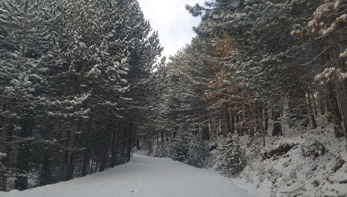 Kazdağı Milli Parkı beyaza büründü Kazdağı Milli Parkı beyaza büründü