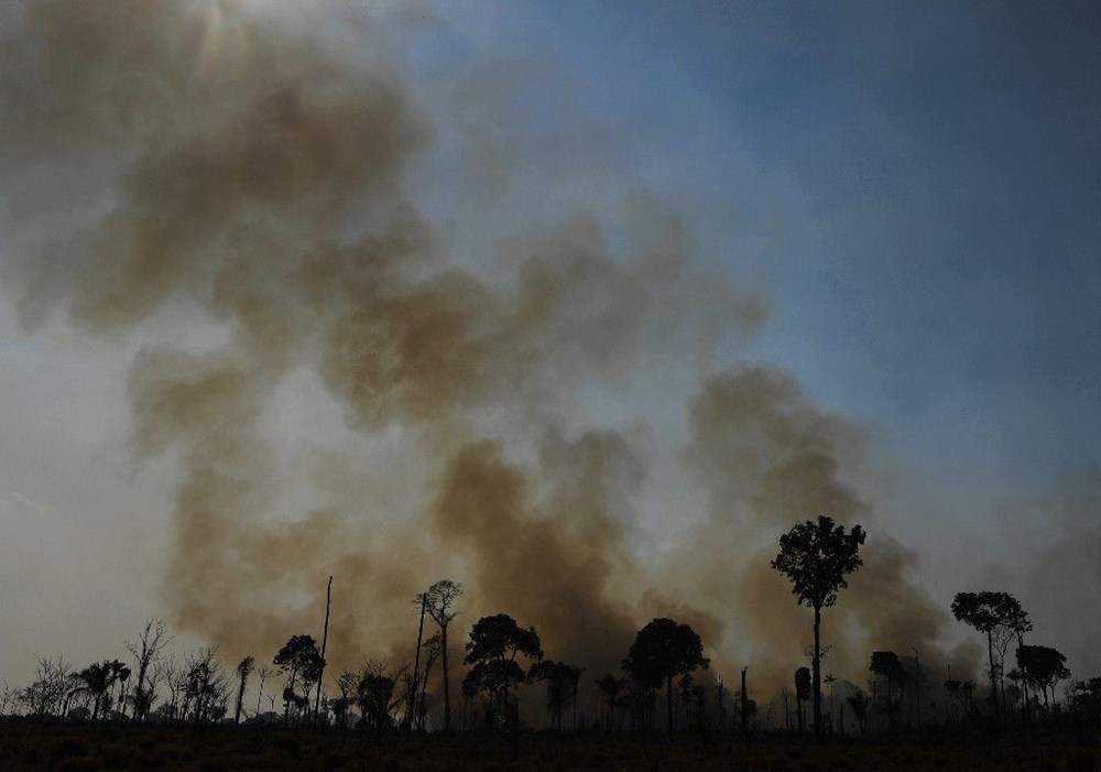 Amazon ormanlarında 14 yıl sonra en büyük kayıp: Haziran ayında rekor alan kül oldu - 9