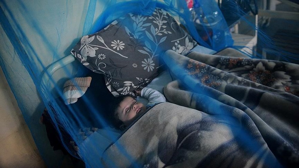 Sağlık Bakanlığı'ndan sivrisinekten korunma rehberi (Sivrisinekten nasıl korunulur?) - 2