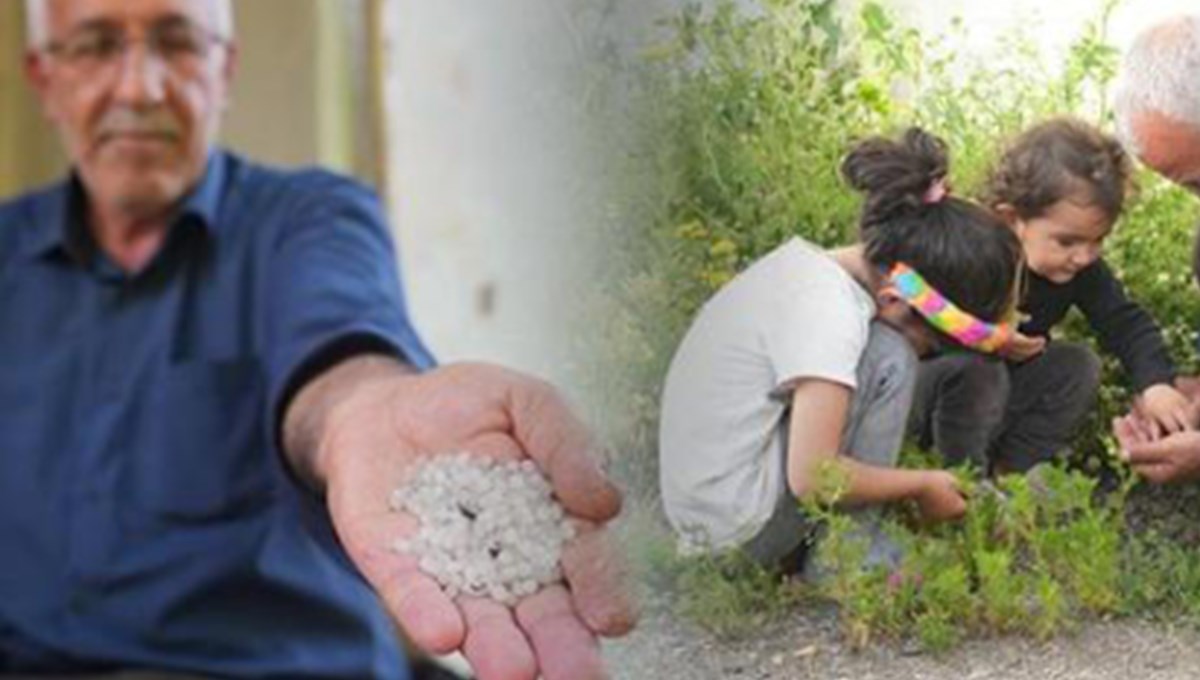 Dolu ile birlikte yağdı! Erimeyen cismin gizemi çözüldü Dolu ile birlikte yağdı! Erimeyen cismin gizemi çözüldü