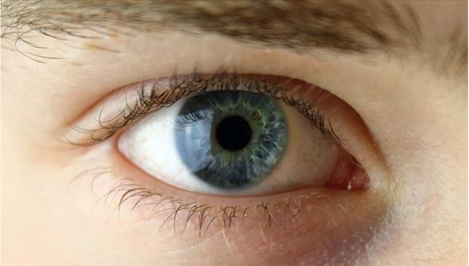 Yapay zeka otizmi basit bir "göz taraması" ile yüzde 100 doğru tespit edebiliyor