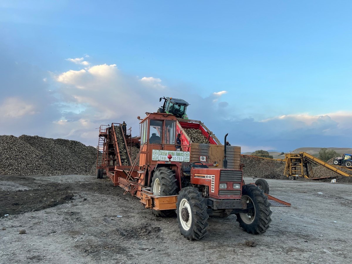 Qh0GAtro5E22EqF-2ofqQA.jpg