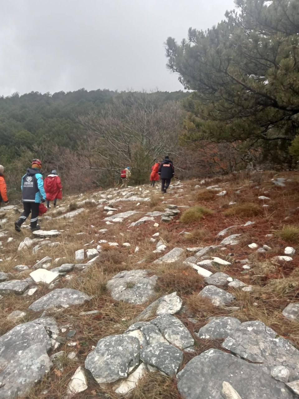 Kazdağları'nda kaybolan kişi sağ olarak bulundu - 1