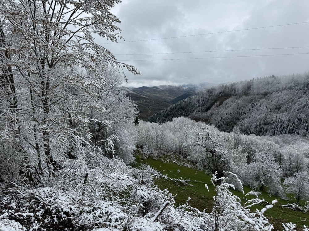 İki mevsim bir ortada: Nisan ayında kar yağdı 76