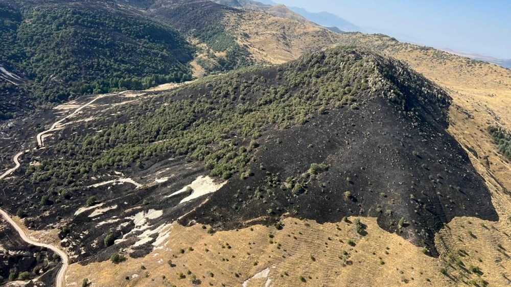 Orman yangınlarında son durum: Bazı evler küle döndü - 8