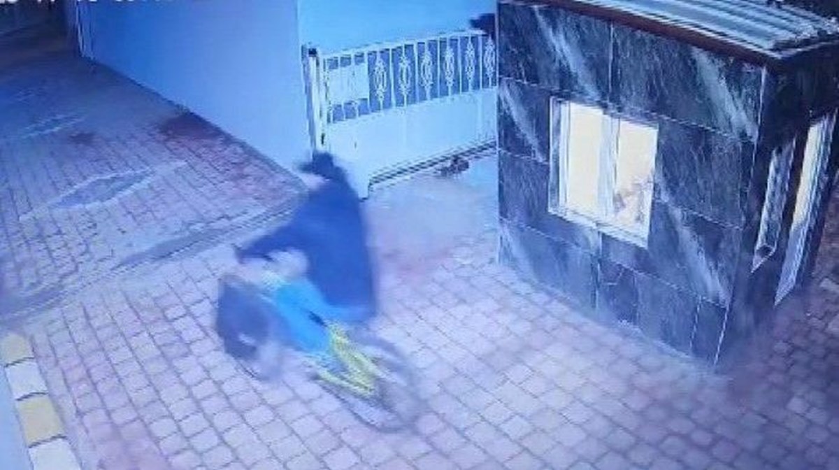 QmRKUaX7uEGPQBRVasNnxw.jpg