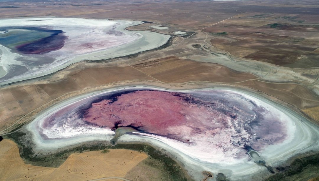 "Flamingo cenneti" kurudu! 180 kuş türünün yaşam alanı kalmadı