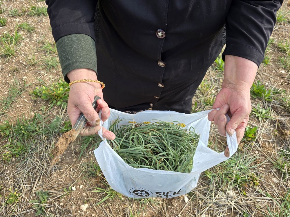 Kolesterol düşürücü özelliği varmış, ilkbaharda toplanıyor: Her yerde yetişen bitki 72