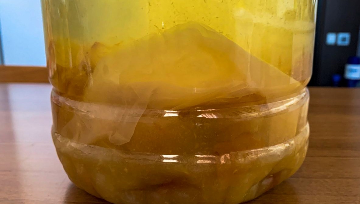 Peynirin küflenmesini önleyen yöntem! İçine birkaç damla eklemek yetiyor: Bakteri üremesini de durduruyor