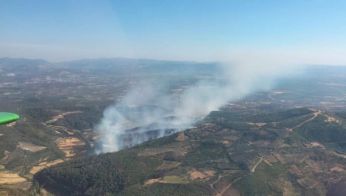 İzmir Bergama'da orman yangını