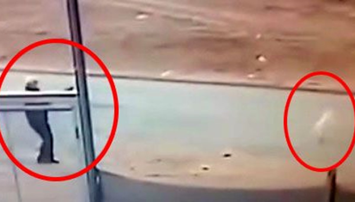 Sokak köpeğini tüfekle öldüren şüpheli gözaltına alındı Sokak köpeğini tüfekle öldüren şüpheli gözaltına alındı