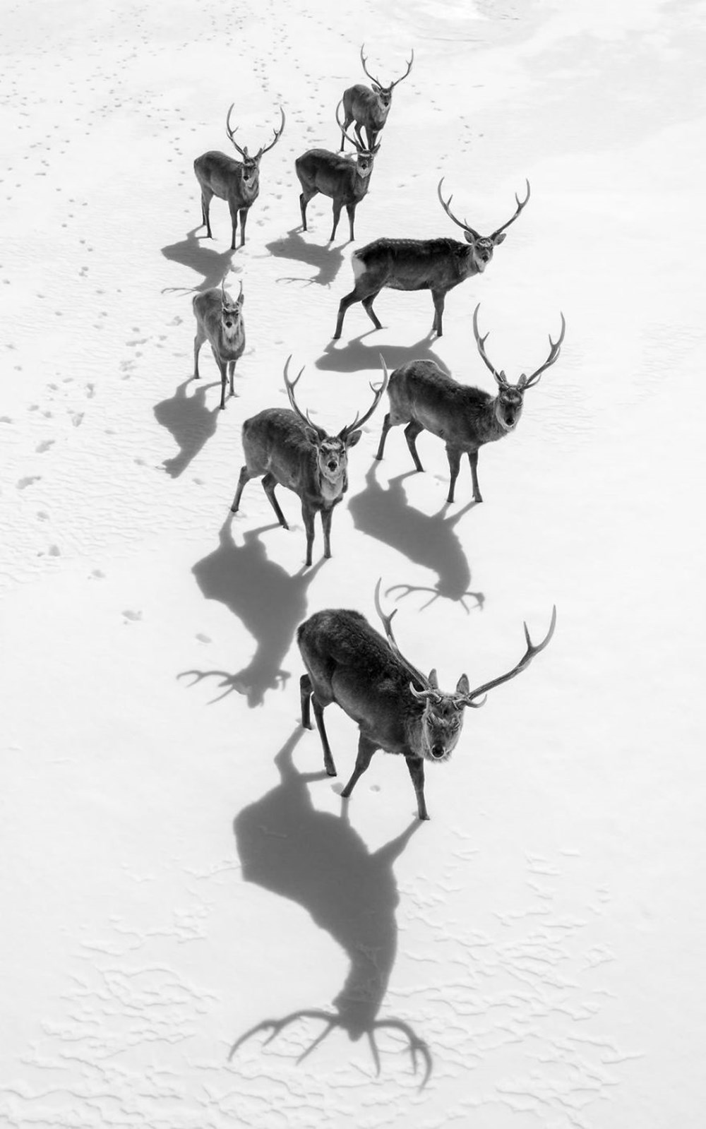 2017 National Geographic Seyahat Fotoğrafları Yarışması’nın
