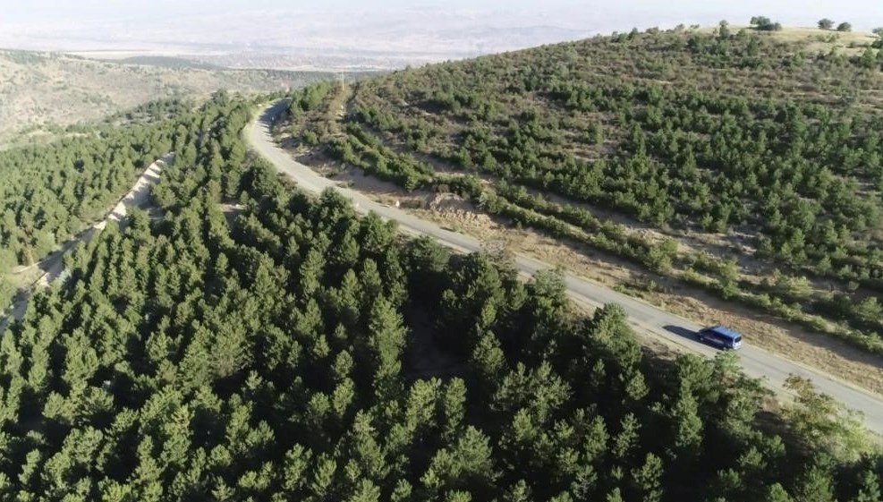 Tekirdağ'da yangın tedbiri
