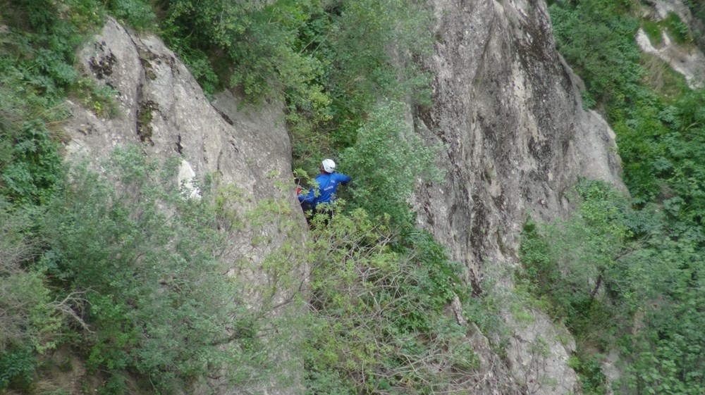"Yılan otu" olarak da biliniyor, mevte meydan okuyup topluyorlar: Hastalıkların şifası bitki 76 Qv5CVqZCy0KuN98XPKvEVg