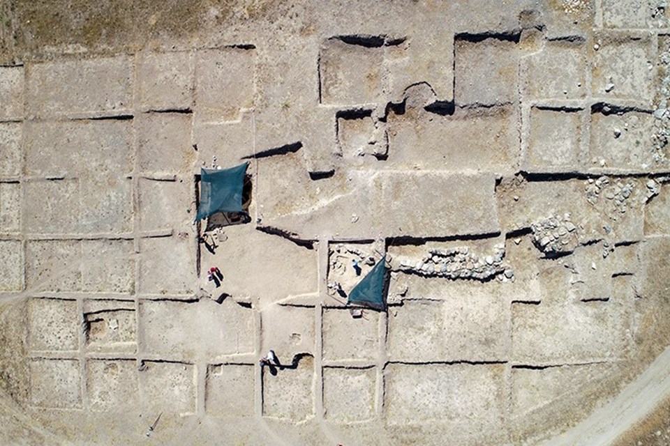 Çavuştepe Kalesi'nde çenesinde bronz gem olan at iskeleti bulundu - 2