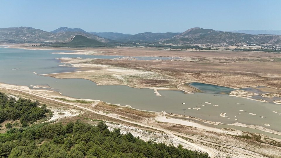 İzmir'de tehlike çanları: Geçen yıla göre yüzde 50 düşüş var - 1