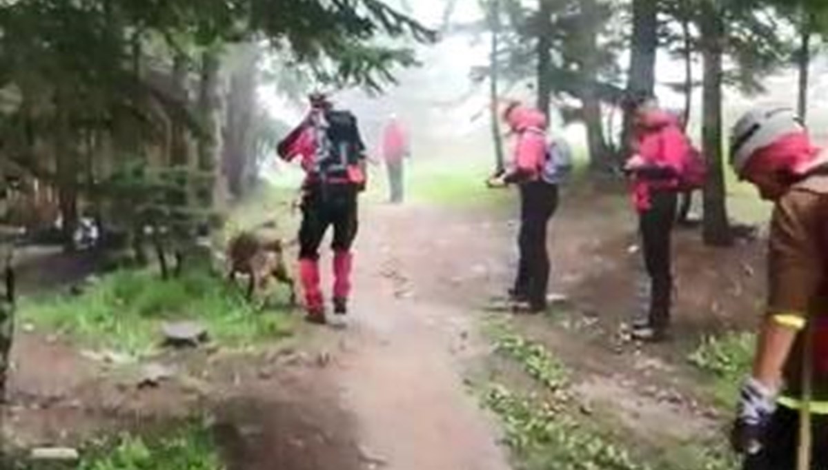 Uludağ'da şifalı ot toplarken kayboldu, iki gündür aranıyor Uludağ'da şifalı ot toplarken kayboldu, iki gündür aranıyor