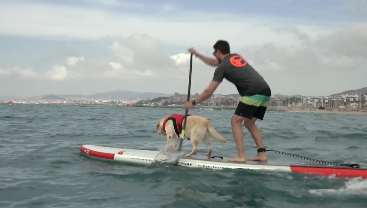 Köpekleriyle kürek sörfü yaptılar