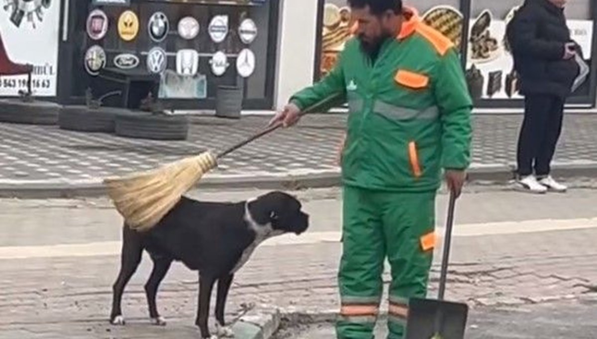 Bursa'da kalpleri ısıtan görüntü: Köpeği önce süpürgeyle kaşıdı sonra sevdi Bursa'da kalpleri ısıtan görüntü: Köpeği önce süpürgeyle kaşıdı sonra sevdi