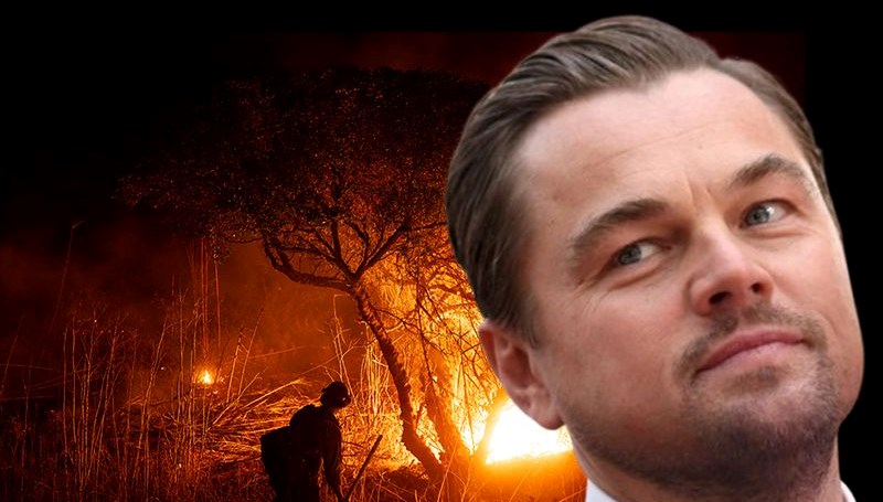 Çevre aktivisti Leonardo DiCaprio'dan 1 milyon dolar bağış