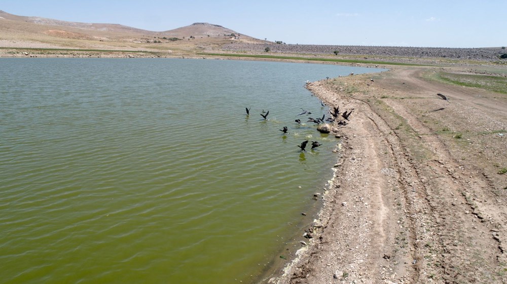 May Barajı'nda korkutan görüntü: Sular çekildi, binlerce balık telef oldu - 8