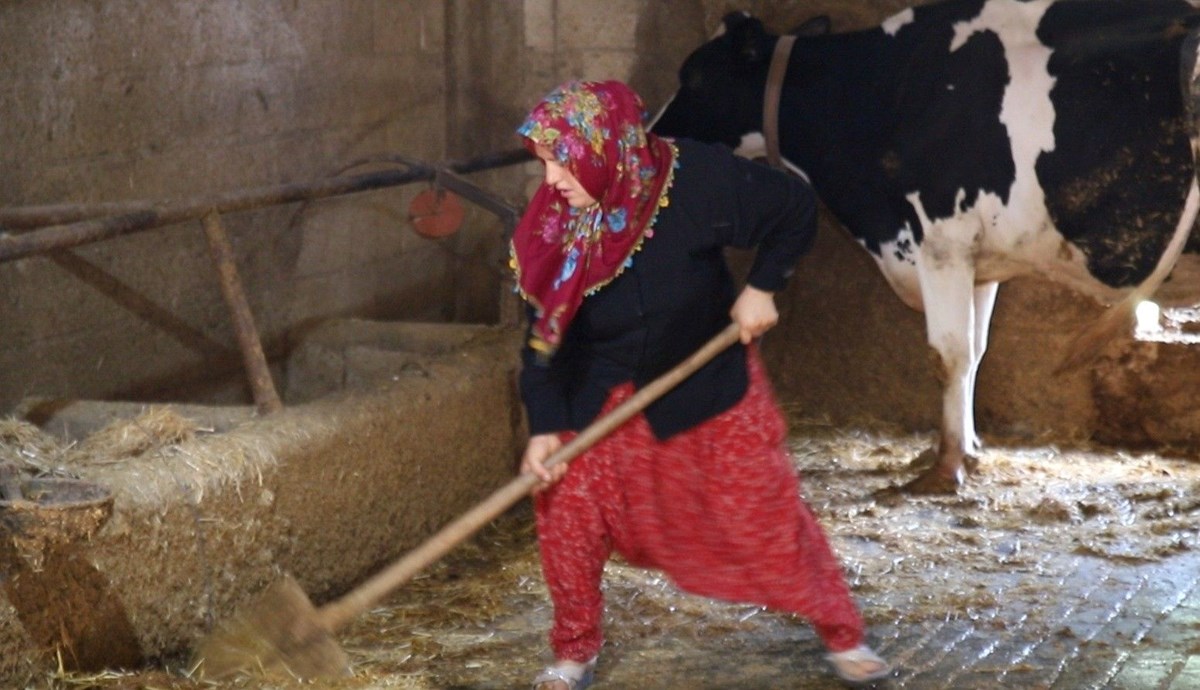 R-t6fW3RR0CLX4FETjgKuQ.jpg