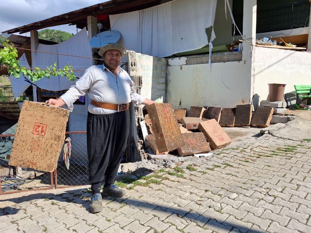 Sinekle mücadelede şaşırtan yöntem: Kartonlara fare yapıştırıcısı sürdü - 5