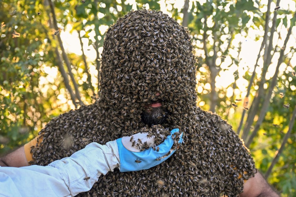 "Arı Adam"ın Guinness Rekorlar Kitabı hayaline ramak kaldı - 15