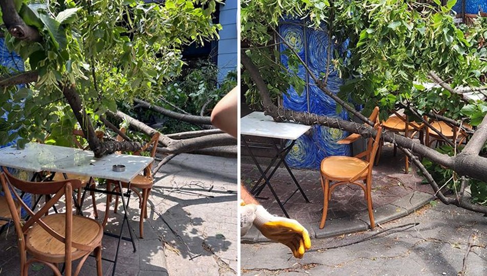 Dün sıcaktan kavrulan İstanbul’da bugün rüzgardan ağaç
devrildi