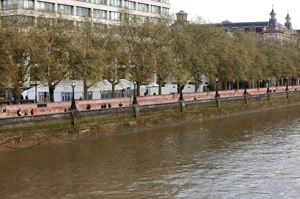 Covid-19 kurbanlarının anısına 150 bin kalp - 68