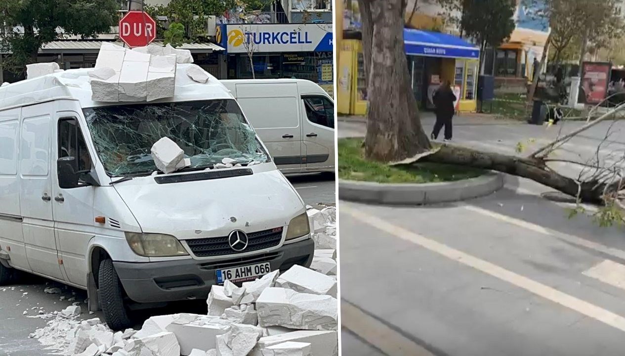 Bursa'da lodos etkili oldu