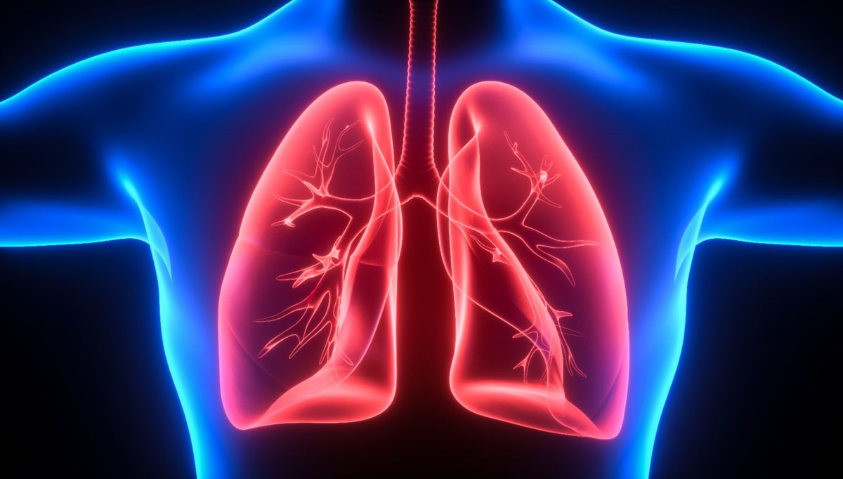 Covid-19 ilaç denemeleri: Yapay organ dönemi başlıyor